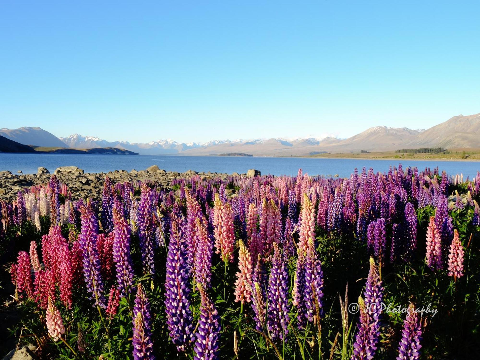Tekapo Luxury Apartments Лейк-Текапо Екстер'єр фото